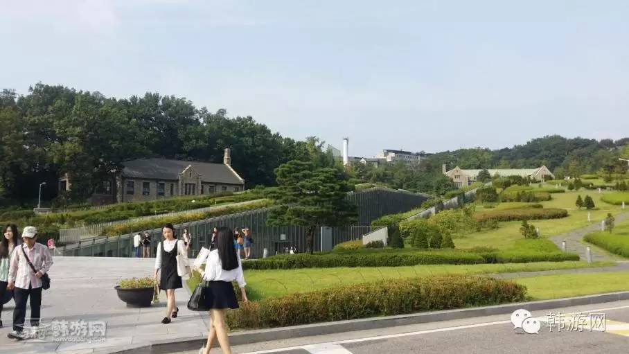 遇见特别的你网剧,遇见特别的你电视连续剧完整版