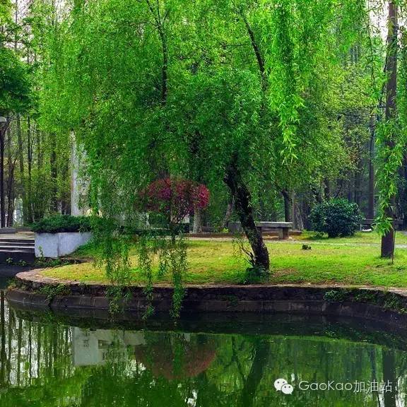 高考专区湖南大学,高考志愿怎么报湖南大学