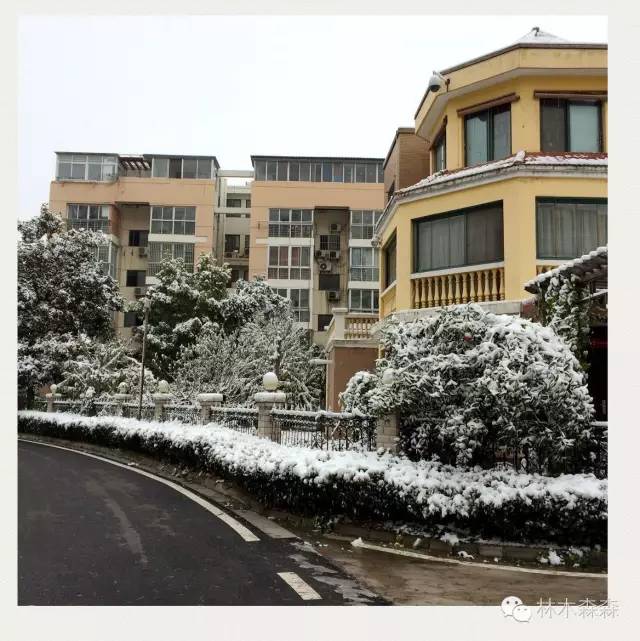 生在淮北，剩在上海