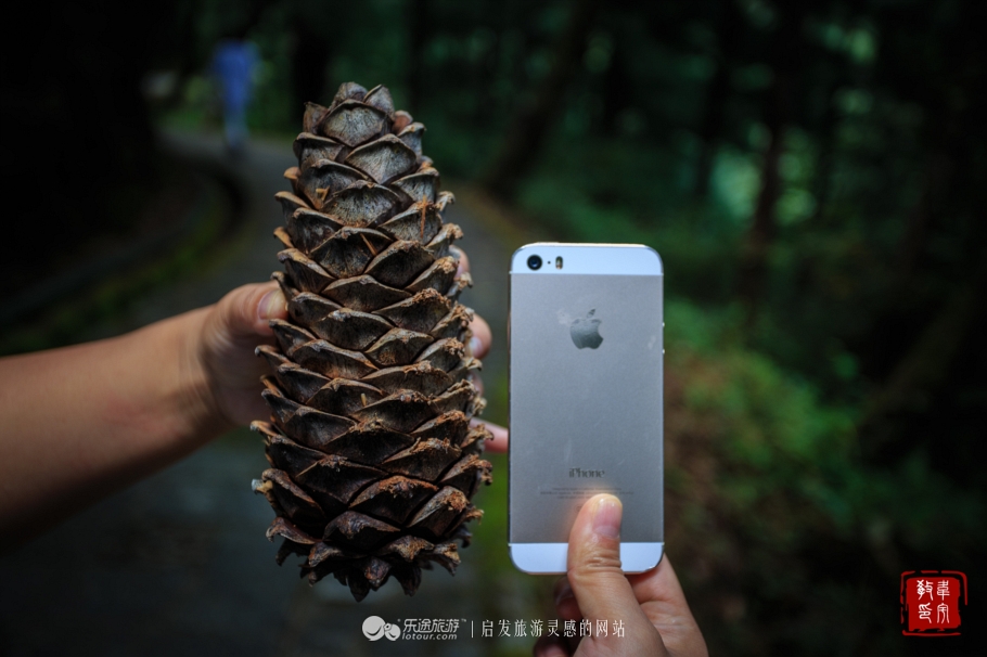 鑻嶅北淇,鑻嶅北淇灠涓嬪叧