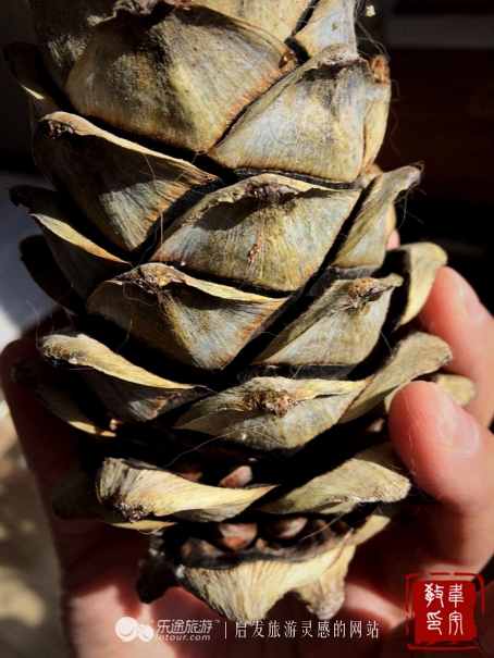 鑻嶅北淇,鑻嶅北淇灠涓嬪叧