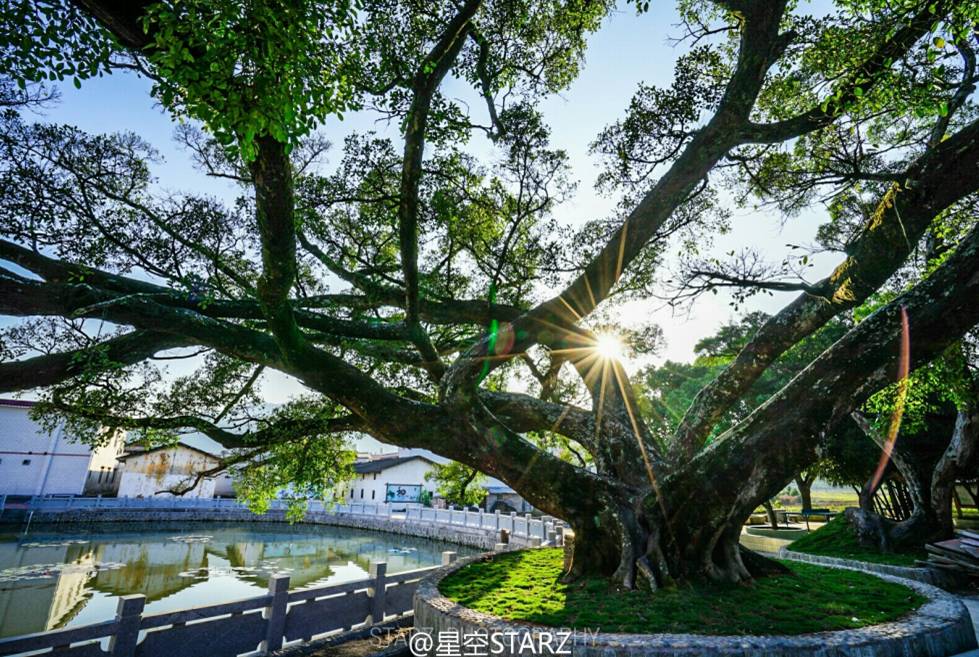 「关注」V观清远深呼吸带你走进佛冈,揭秘美丽乡村炼成秘诀