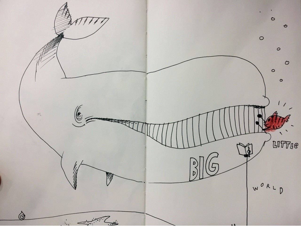 世界级大师薛蓝·约纳科维奇带你在小世界里寻找大世界