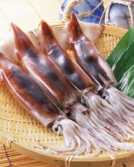 进口虾与国产虾的对比,国内虾那么多为什么要进口