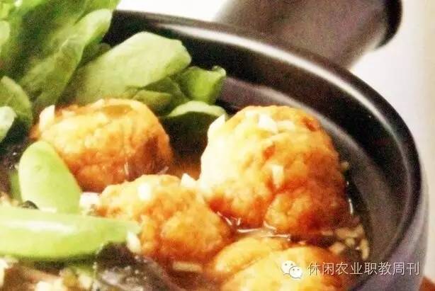 原来农业也可以运用科技,原来的稻地能种萝卜吗