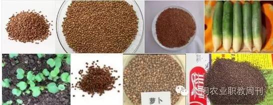 原来农业也可以运用科技,原来的稻地能种萝卜吗