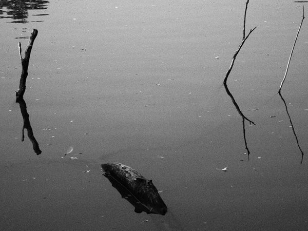 奥林巴斯epl8拍的照片,奥林巴斯epl8怎么自拍