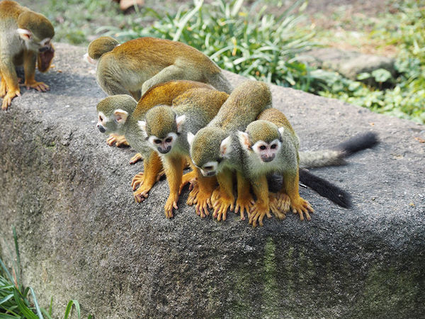 奥林巴斯epl8拍的照片,奥林巴斯epl8怎么自拍