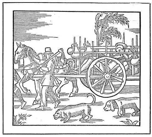 白色腿细细的那种狗是什么狗,细腿狗是什么狗