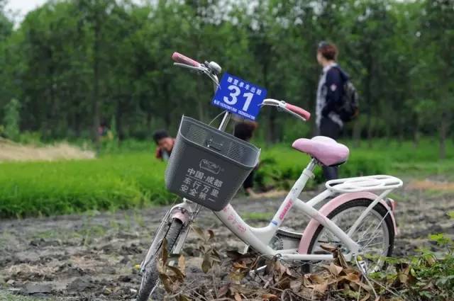 去温江有啥好玩的,夏季温江游玩景点有哪些