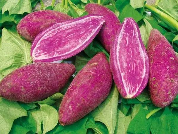 赣州美食不打烊,赣州美食推荐过年不打烊