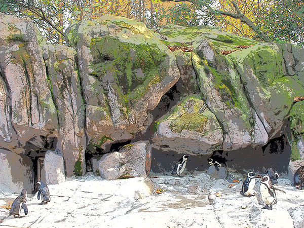 奥林巴斯epl8拍的照片,奥林巴斯epl8怎么自拍