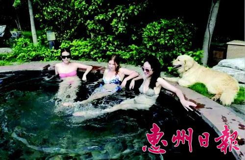 周日去哪儿游玩,周末去哪儿一日游