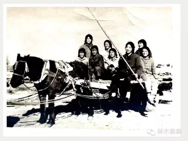 生在淮北，剩在上海