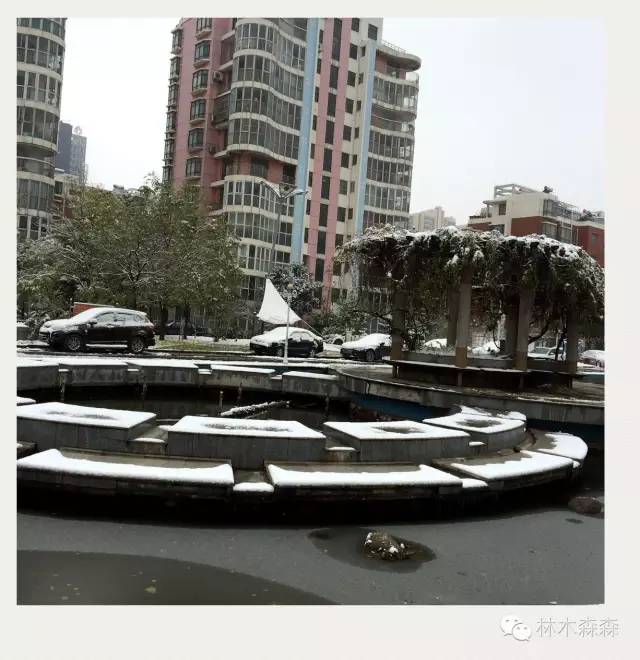 生在淮北，剩在上海