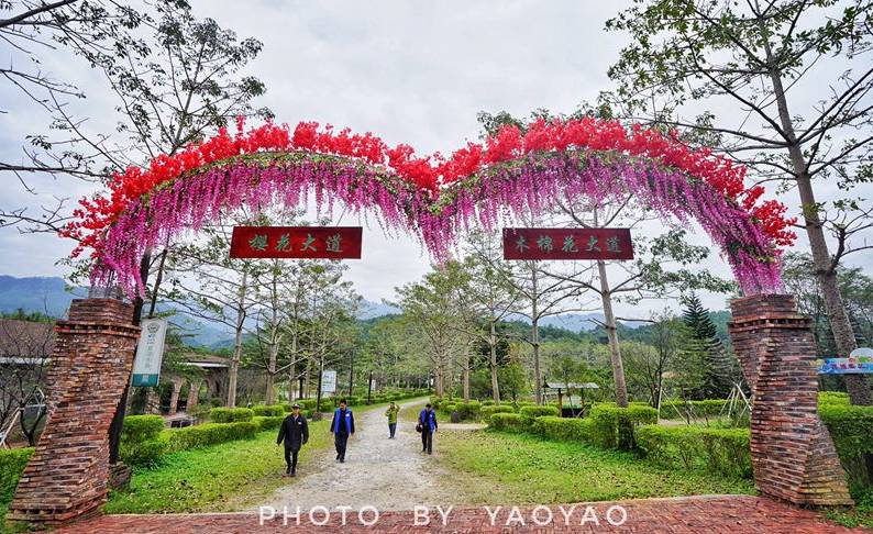 「关注」V观清远深呼吸带你走进佛冈，揭秘美丽乡村炼成秘诀