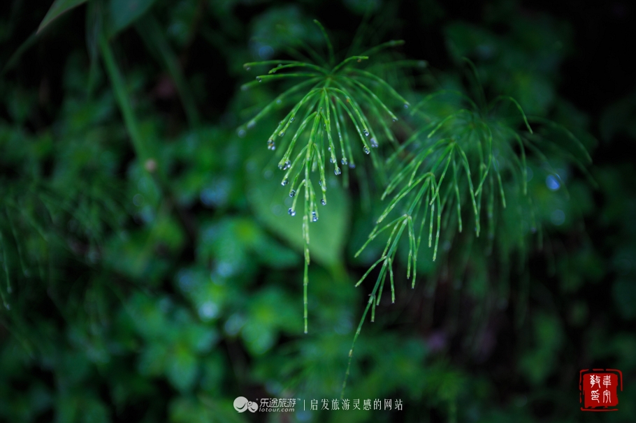 鑻嶅北淇,鑻嶅北淇灠涓嬪叧