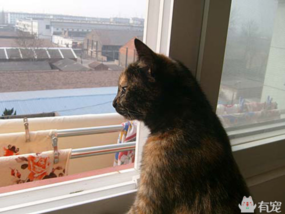 有福之人满满的幸福 (有才和有福的成长日记)