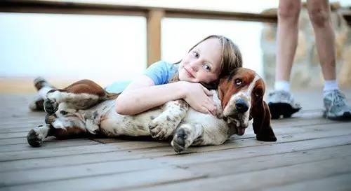 白色腿细细的那种狗是什么狗,细腿狗是什么狗