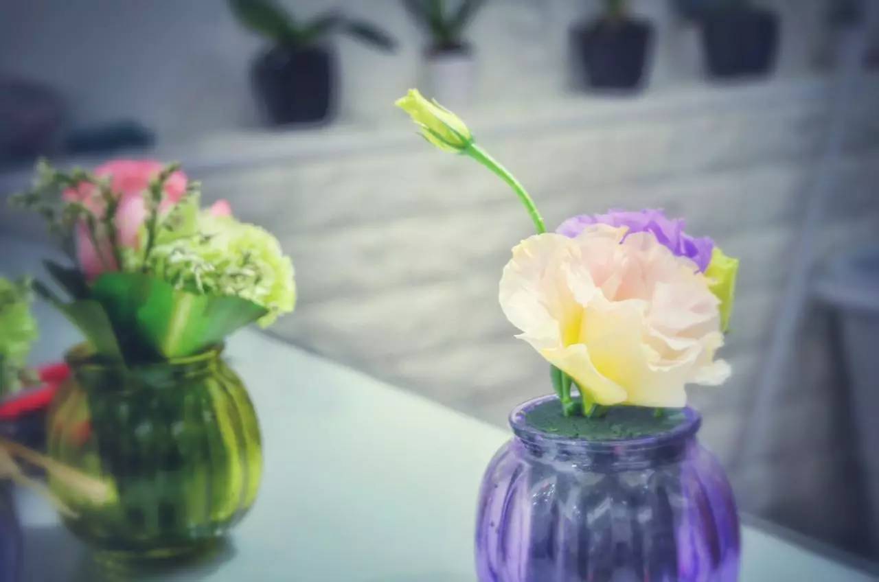 未闻花名每个人的想法,未闻花名每个人的愧疚是什么