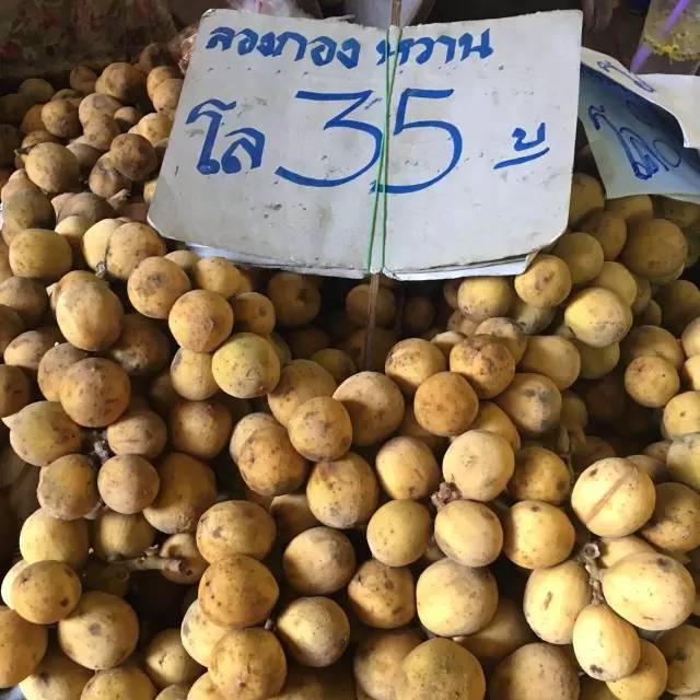 食货君餐饮,食货君餐饮怎么样