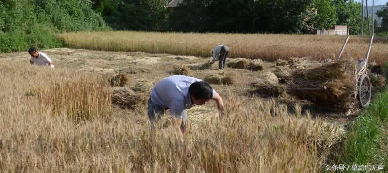 一个新人如何开始做营销,如何成为一名合格销售