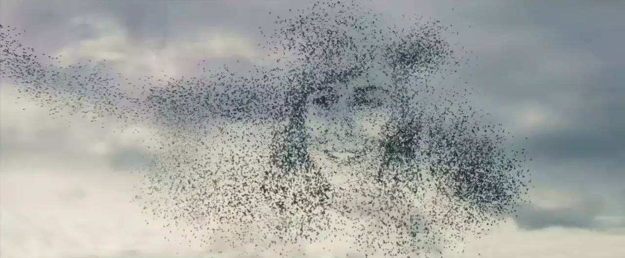 一个有幻想症的人都会发生什么,重度幻想症的治疗方法