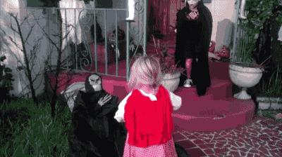 河北细狗抓兔子视频,抓兔子的细狗