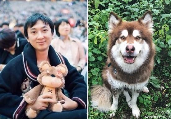 王思聪给爱犬买了只限量版lv包,王思聪给狗戴的羽毛项链
