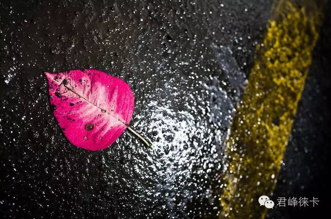 徕卡Q紧凑型全画幅相机,徕卡q是全画幅相机吗