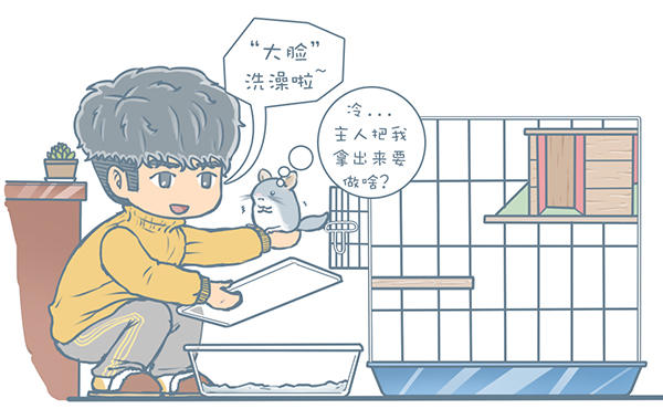 龙猫不洗澡光泡沙子,龙猫不滚沙怎么办