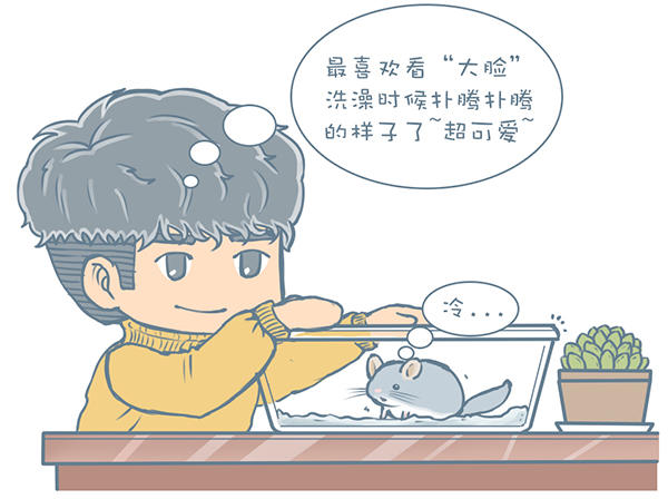 龙猫不洗澡光泡沙子,龙猫不滚沙怎么办