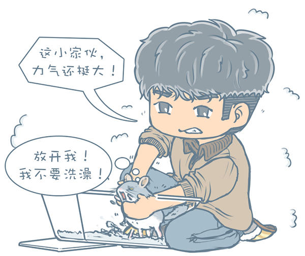 龙猫不洗澡光泡沙子,龙猫不滚沙怎么办