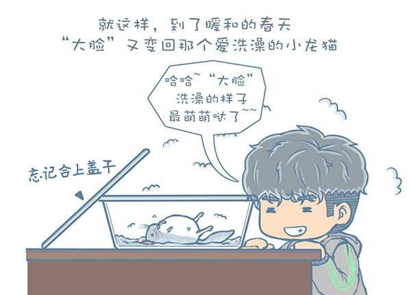 龙猫不洗澡光泡沙子,龙猫不滚沙怎么办