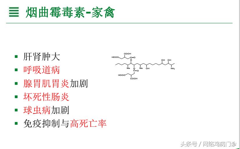脱霉剂实测,脱霉剂真正脱霉吗