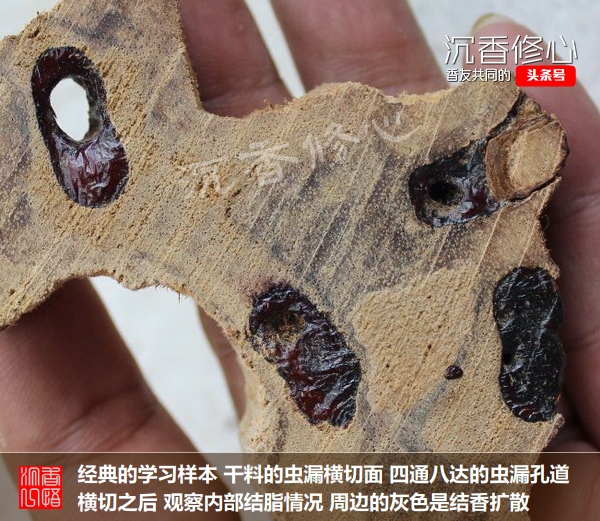 奇楠沉香的特点及鉴别,奇楠沉香真假辨别4种简单方法