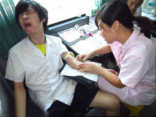 河北细狗抓兔子视频,抓兔子的细狗