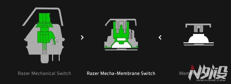 雷蛇雨林狼蛛按键失灵,razer雷蛇雨林狼蛛rgb幻彩版