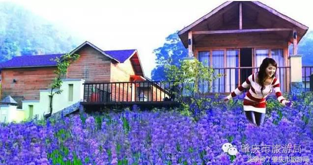 广肇城际轻轨最新官方消息,广肇城际在广州哪儿上车