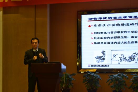 如何应对养殖业行情风险,生猪养殖业转型压力及困难