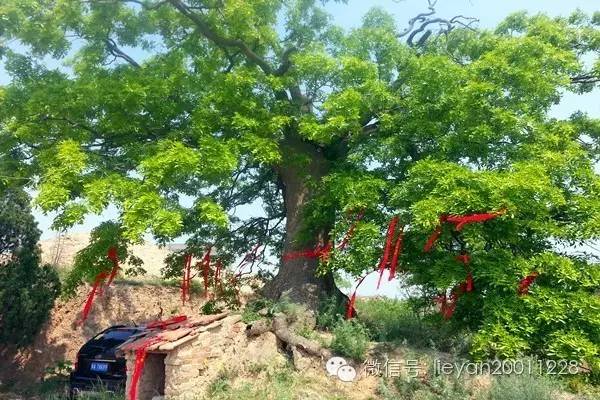 跨越千年时光看兵马俑,跨越千年唐十八陵