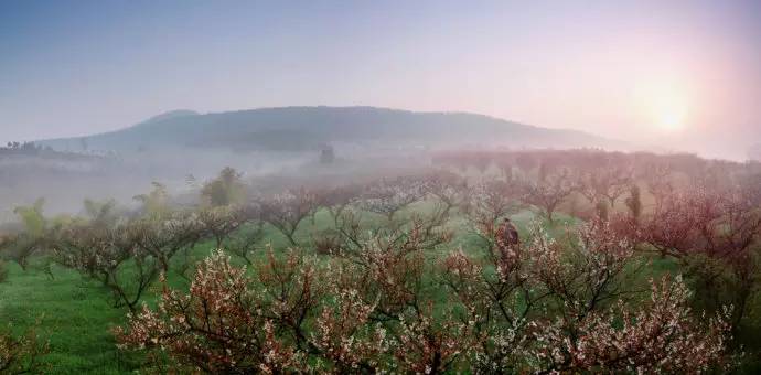 宜兴人为什么很幸福,宜兴人为何淳朴