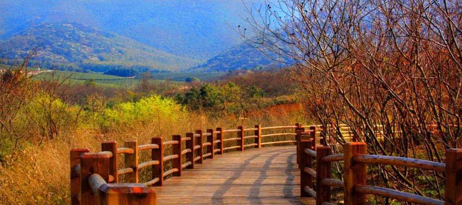 宜兴人为什么很幸福,宜兴人为何淳朴