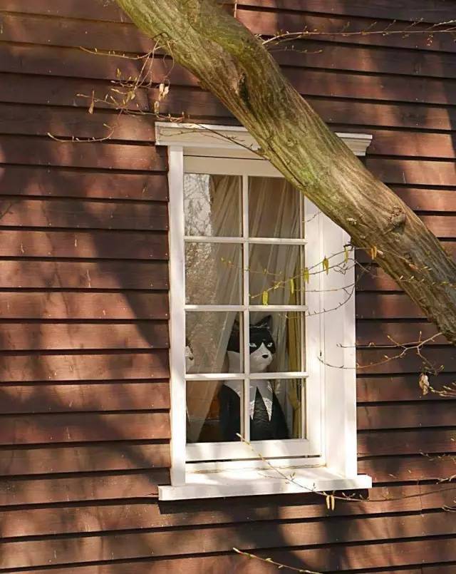 日本宫崎骏博物馆八音盒,宫崎骏微缩场景博物馆