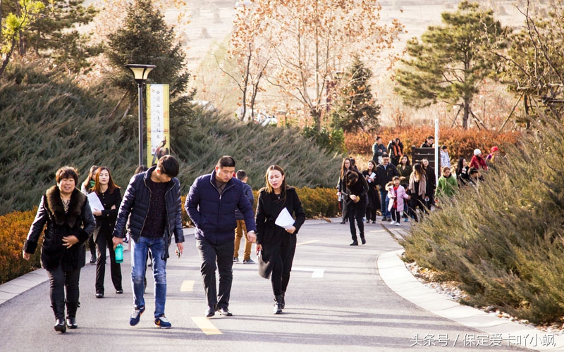 保定轩宇鑫悦奥迪竞秀区,高档红酒品鉴欣赏