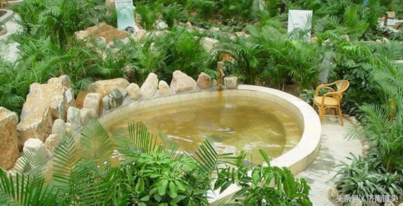 家在齐鲁,家在齐鲁系列烟台