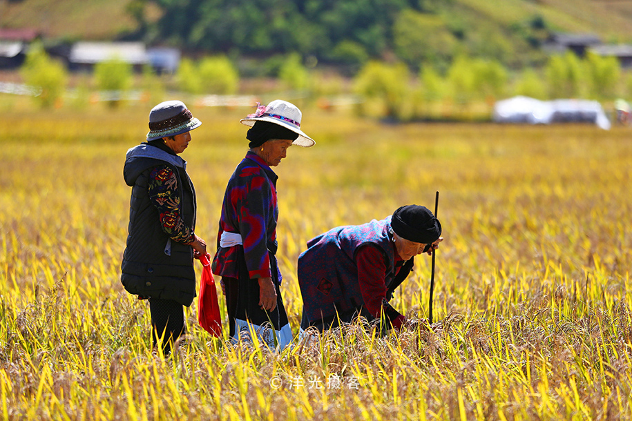 这个民族的祖先因战败被迫流离失所,却创造出世界上独一无二奇迹
