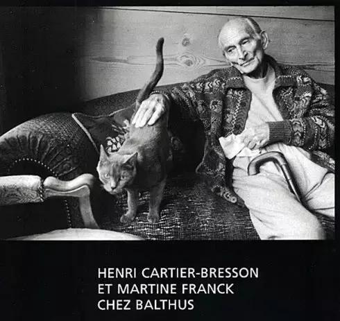 猫人，真正的猫与艺术，猫与我，还有诗