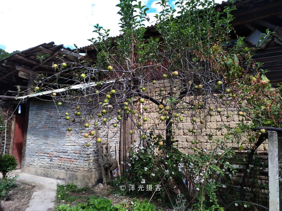 这个民族的祖先因战败被迫流离失所,却创造出世界上独一无二奇迹