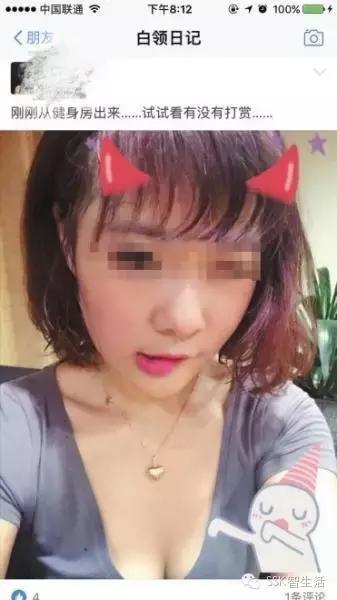 支付鸨事件来历,支付鸨事件